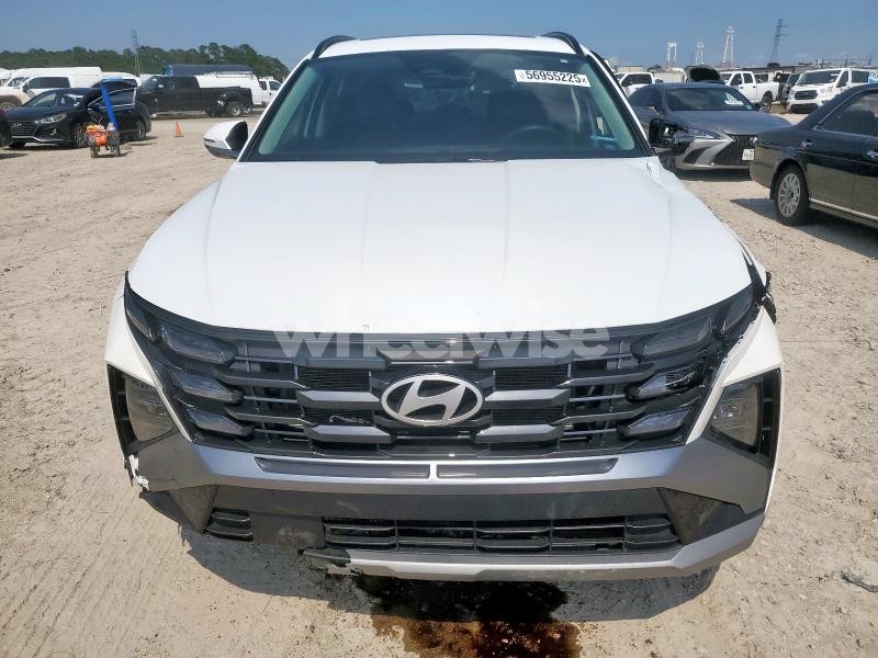 Photo 13 of 2025 HYUNDAI TUCSON SEL (VIN 5NMJCCDE1SH444512)