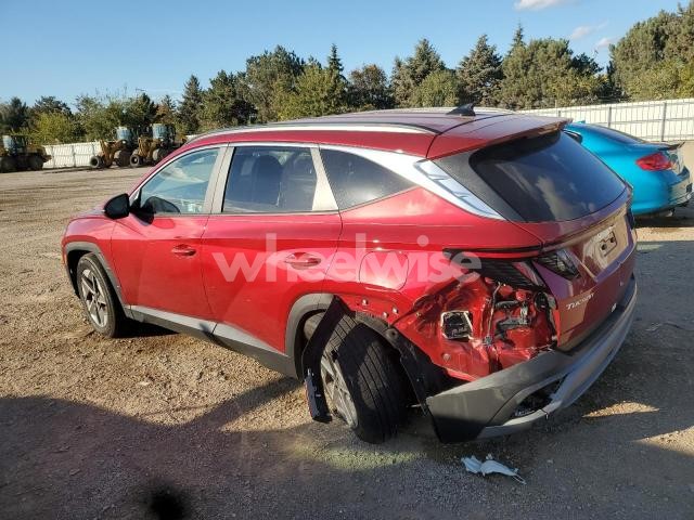 Photo 11 of 2025 HYUNDAI TUCSON SEL (VIN 5NMJCCDE2SH478524)