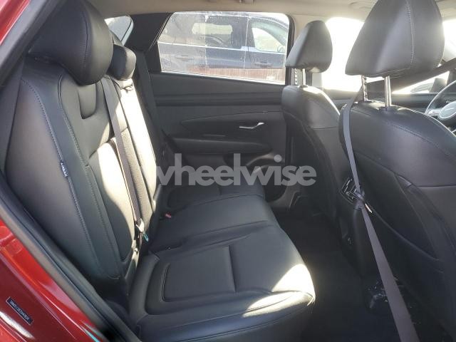 Photo 7 of 2025 HYUNDAI TUCSON SEL (VIN 5NMJCCDE2SH478524)