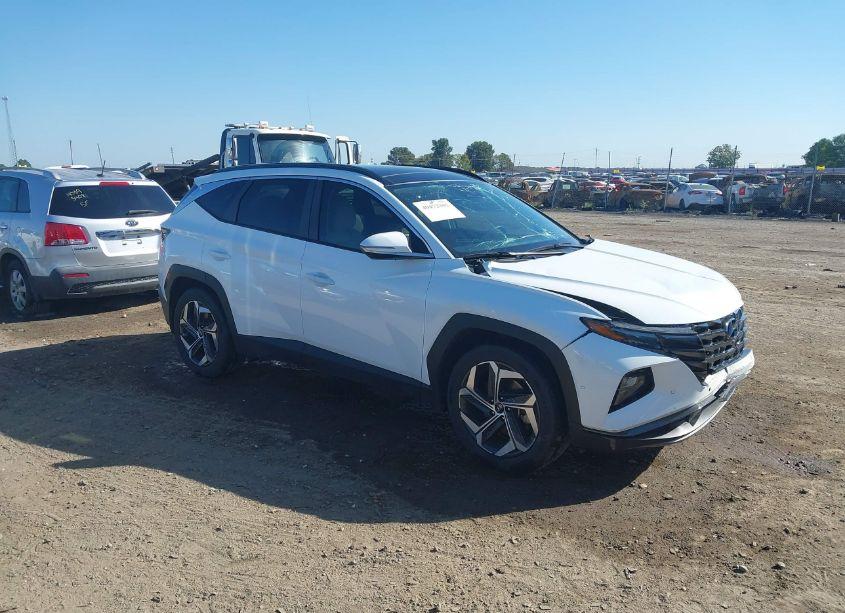 2023 Hyundai Tucson LIMITED (VIN 5NMJE3AE3PH213360) main photo