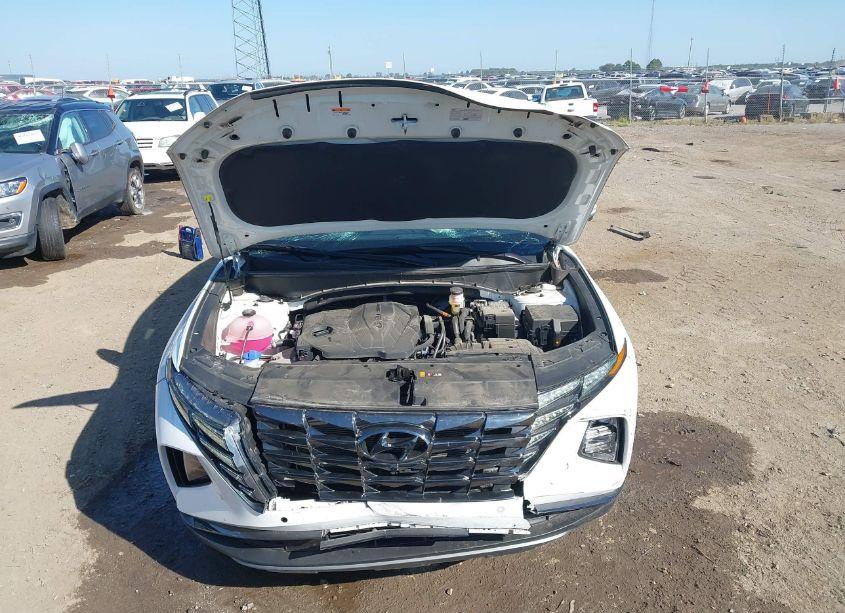 Photo 10 of 2023 Hyundai Tucson LIMITED (VIN 5NMJE3AE3PH213360)