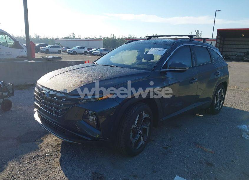 Photo 2 of 2023 Hyundai Tucson LIMITED (VIN 5NMJE3AE3PH270173)