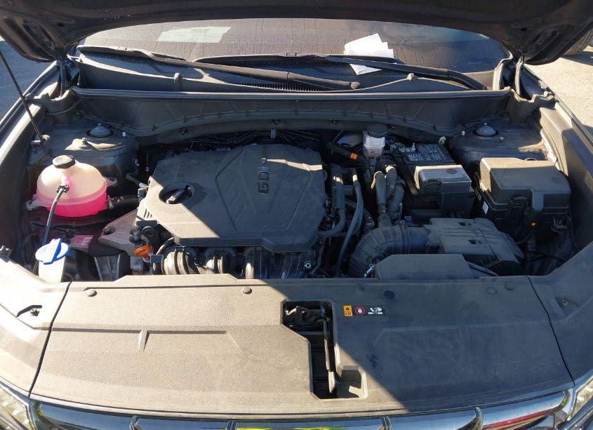 Photo 10 of 2023 Hyundai Tucson LIMITED (VIN 5NMJE3AE6PH188101)