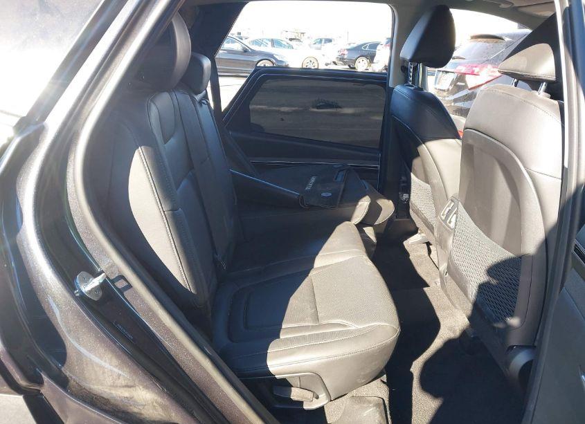 Photo 8 of 2023 Hyundai Tucson LIMITED (VIN 5NMJE3AE6PH188101)