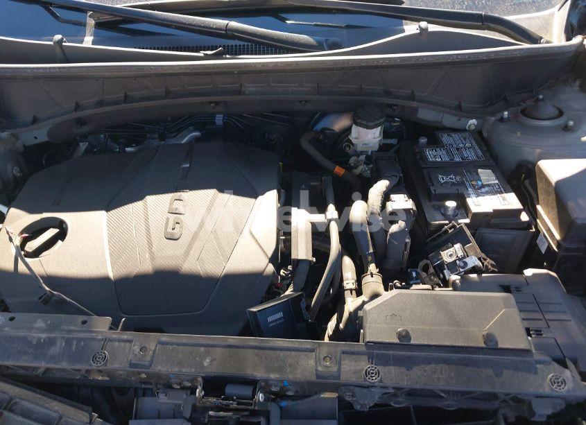 Photo 10 of 2024 Hyundai Tucson LIMITED (VIN 5NMJE3DE0RH305041)