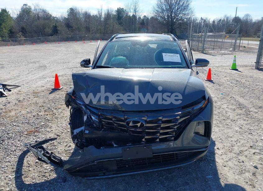 Photo 13 of 2024 Hyundai Tucson LIMITED (VIN 5NMJE3DE0RH305041)