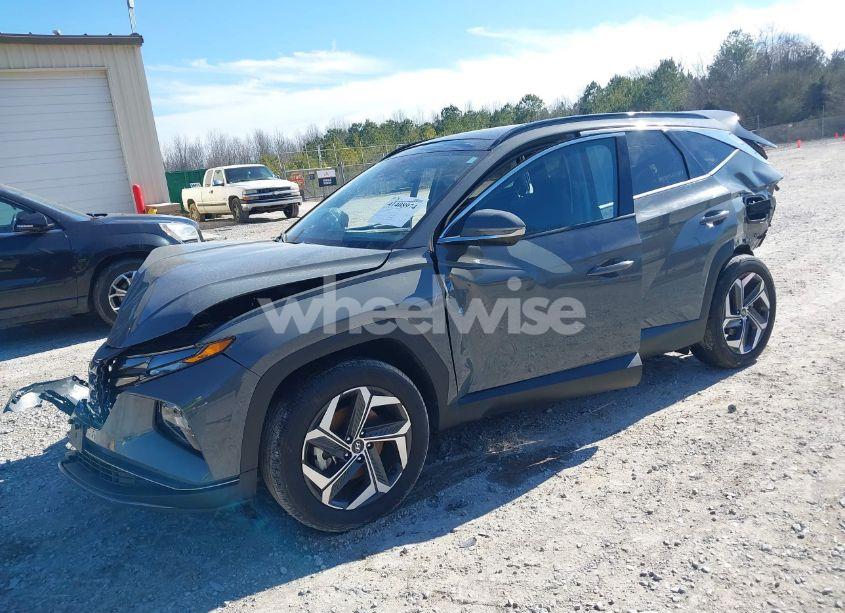 Photo 2 of 2024 Hyundai Tucson LIMITED (VIN 5NMJE3DE0RH305041)