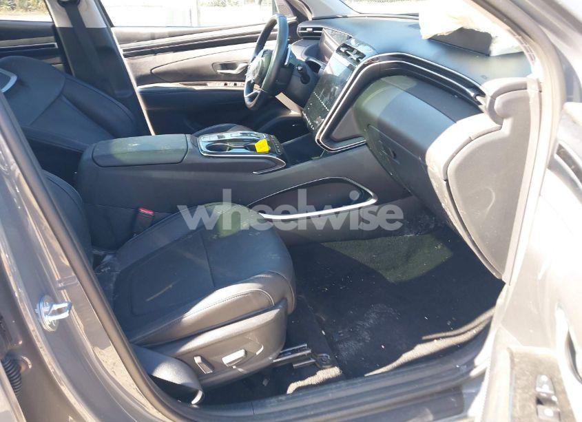 Photo 5 of 2024 Hyundai Tucson LIMITED (VIN 5NMJE3DE0RH305041)
