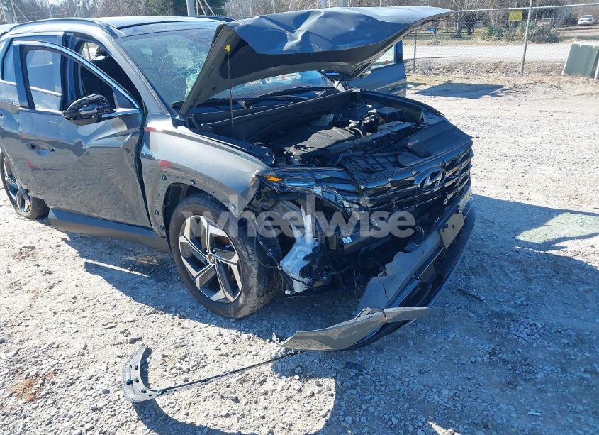 Photo 6 of 2024 Hyundai Tucson LIMITED (VIN 5NMJE3DE0RH305041)