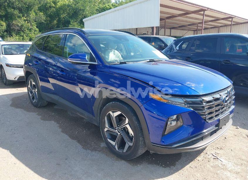 2024 Hyundai Tucson LIMITED (VIN 5NMJE3DE0RH345703) main photo