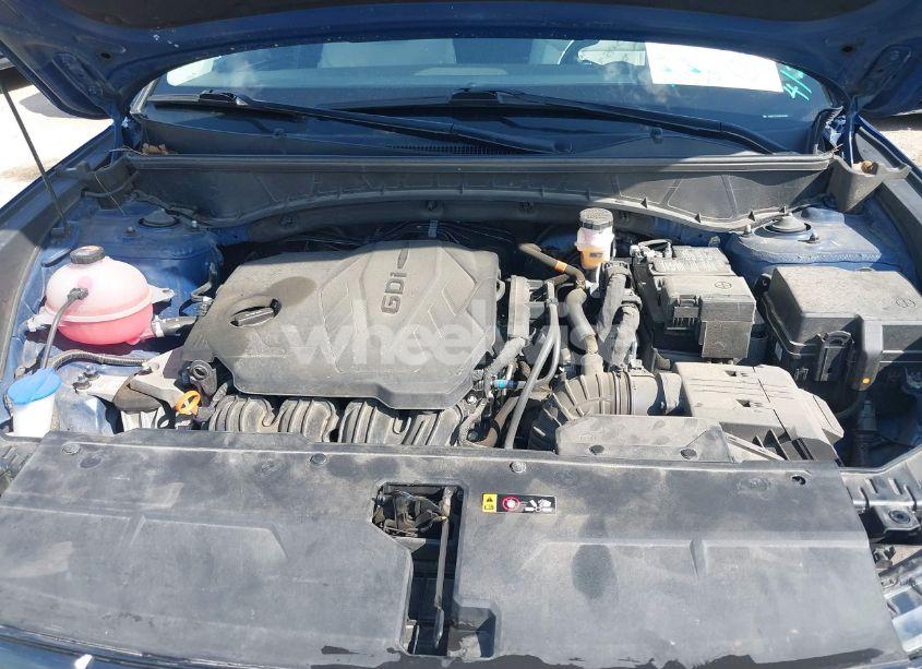 Photo 10 of 2024 Hyundai Tucson LIMITED (VIN 5NMJE3DE0RH345703)