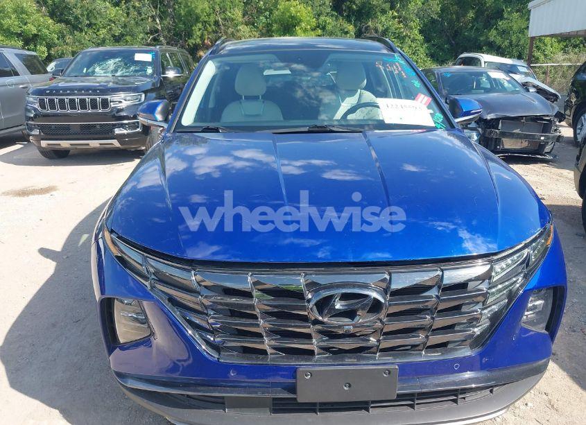 Photo 12 of 2024 Hyundai Tucson LIMITED (VIN 5NMJE3DE0RH345703)