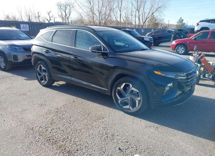 2024 Hyundai Tucson LIMITED (VIN 5NMJE3DE0RH360945) main photo