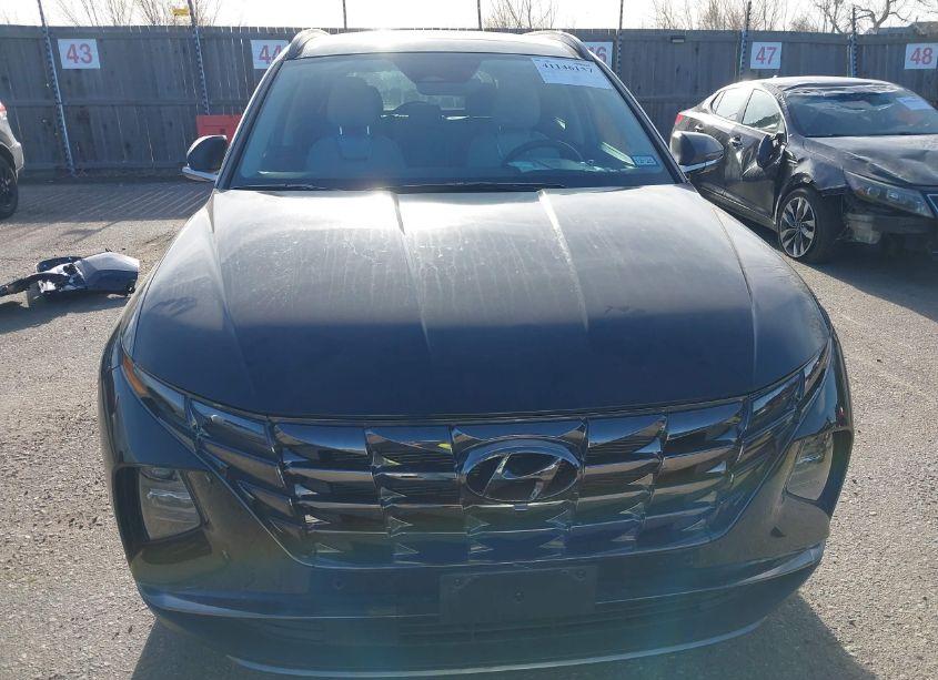 Photo 13 of 2024 Hyundai Tucson LIMITED (VIN 5NMJE3DE0RH360945)