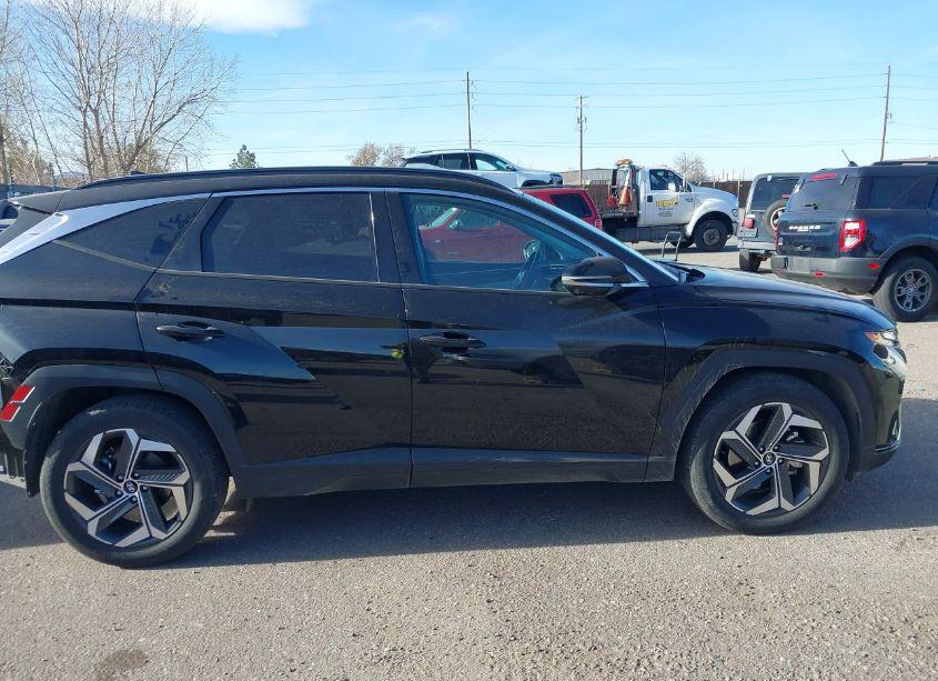 Photo 14 of 2024 Hyundai Tucson LIMITED (VIN 5NMJE3DE0RH360945)