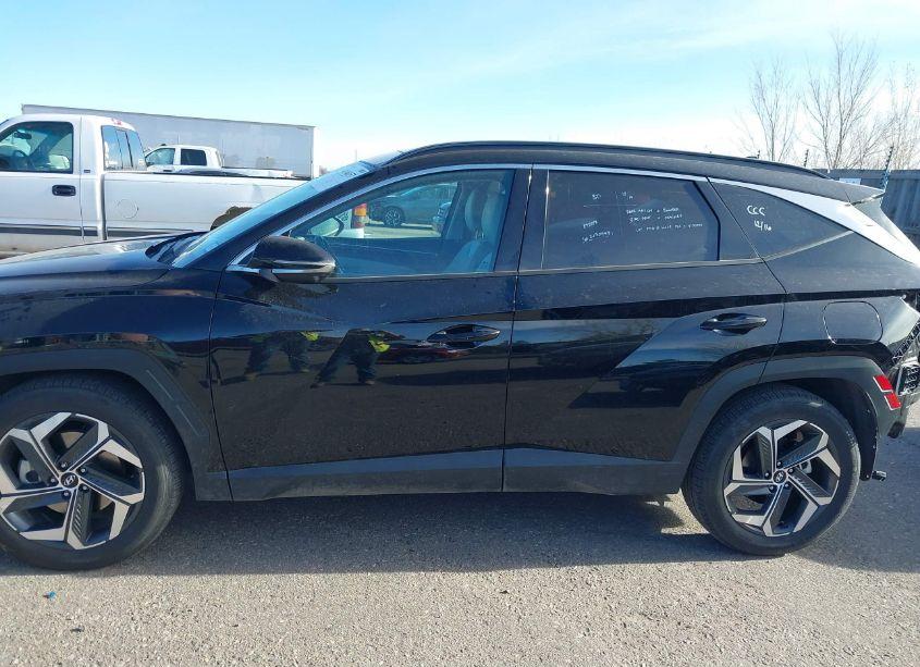 Photo 15 of 2024 Hyundai Tucson LIMITED (VIN 5NMJE3DE0RH360945)