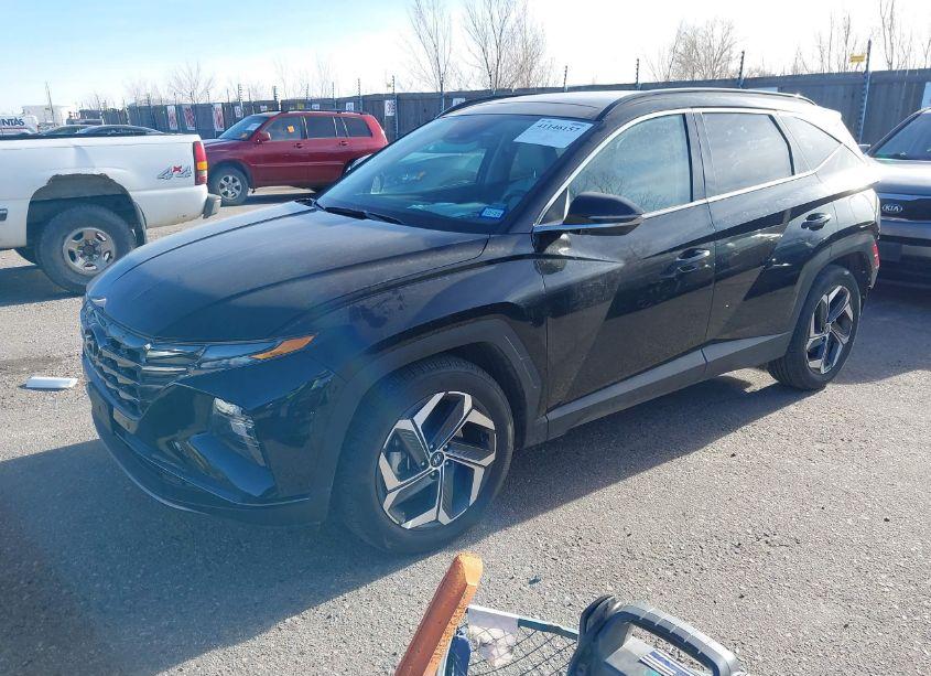 Photo 2 of 2024 Hyundai Tucson LIMITED (VIN 5NMJE3DE0RH360945)