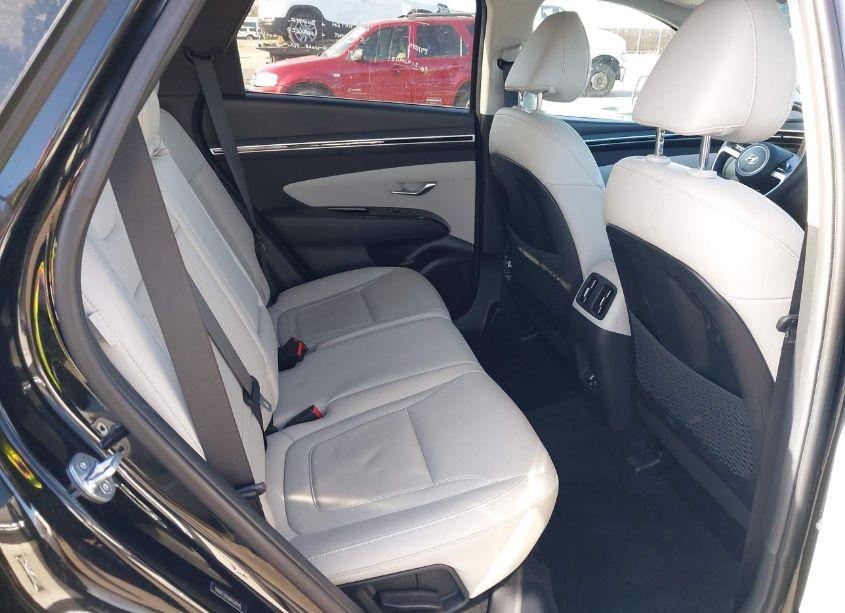 Photo 8 of 2024 Hyundai Tucson LIMITED (VIN 5NMJE3DE0RH360945)