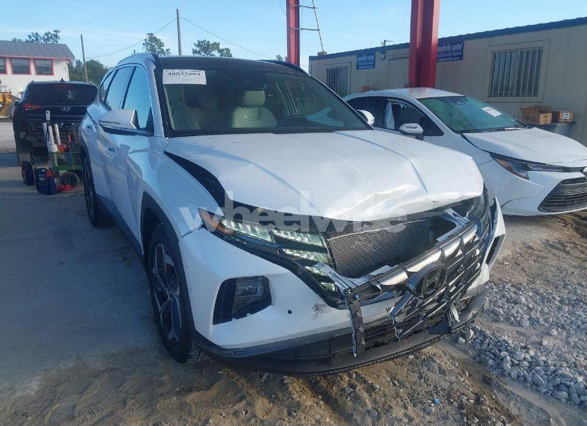2024 Hyundai Tucson LIMITED (VIN 5NMJE3DE1RH334578) main photo