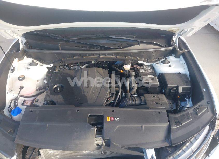 Photo 10 of 2024 Hyundai Tucson LIMITED (VIN 5NMJE3DE1RH334578)