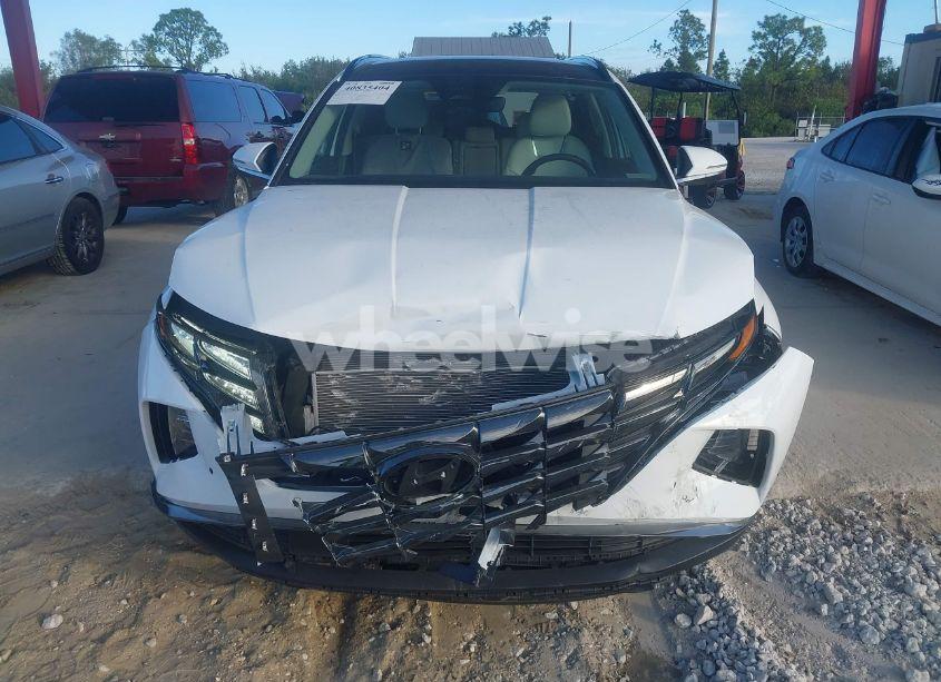 Photo 12 of 2024 Hyundai Tucson LIMITED (VIN 5NMJE3DE1RH334578)