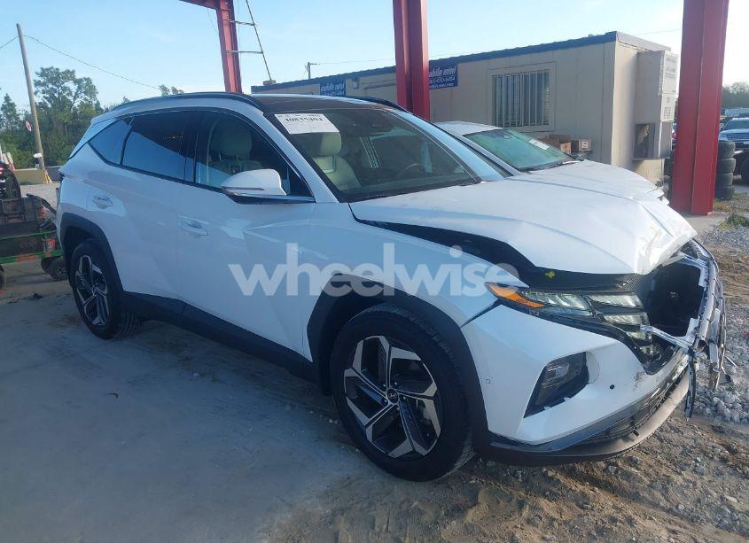 Photo 13 of 2024 Hyundai Tucson LIMITED (VIN 5NMJE3DE1RH334578)