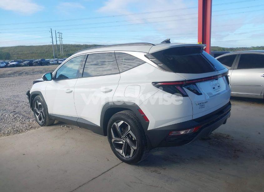 Photo 14 of 2024 Hyundai Tucson LIMITED (VIN 5NMJE3DE1RH334578)
