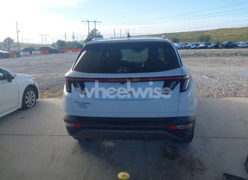 Photo 16 of 2024 Hyundai Tucson LIMITED (VIN 5NMJE3DE1RH334578)
