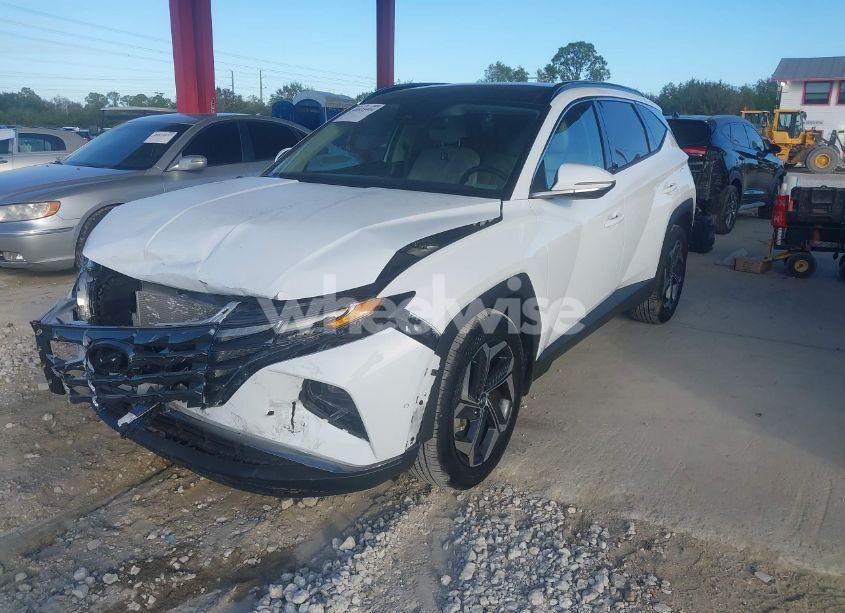 Photo 2 of 2024 Hyundai Tucson LIMITED (VIN 5NMJE3DE1RH334578)