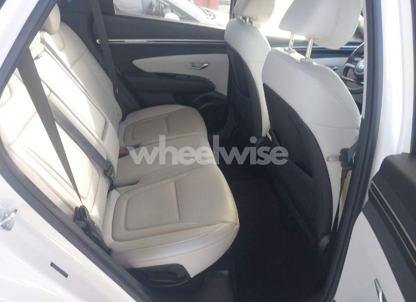Photo 8 of 2024 Hyundai Tucson LIMITED (VIN 5NMJE3DE1RH334578)