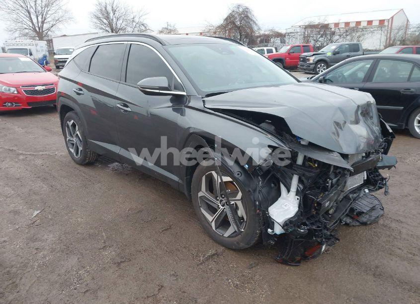 2024 Hyundai Tucson LIMITED (VIN 5NMJE3DE1RH343149) main photo