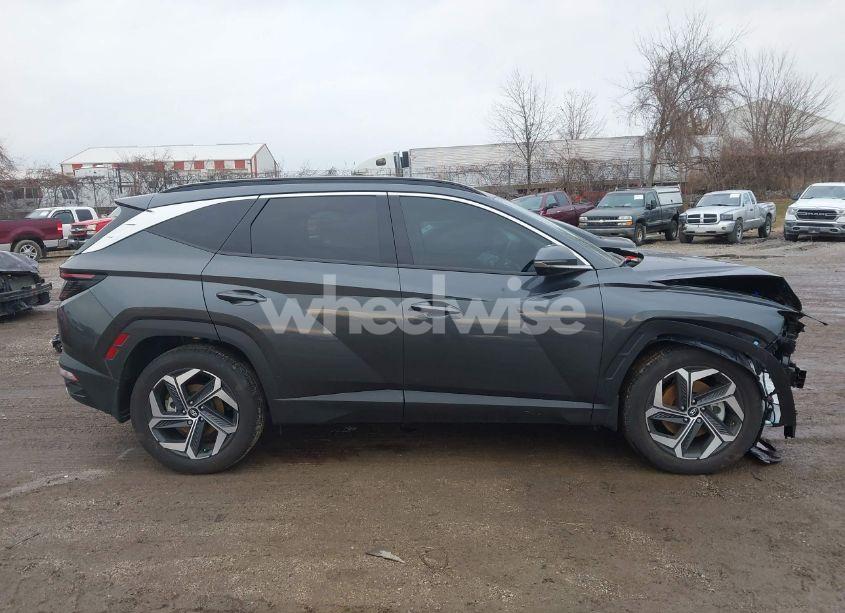 Photo 14 of 2024 Hyundai Tucson LIMITED (VIN 5NMJE3DE1RH343149)