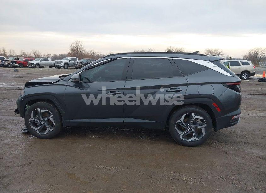 Photo 15 of 2024 Hyundai Tucson LIMITED (VIN 5NMJE3DE1RH343149)