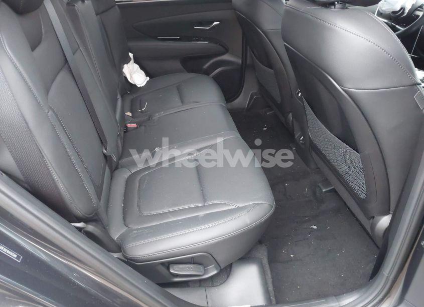 Photo 8 of 2024 Hyundai Tucson LIMITED (VIN 5NMJE3DE1RH343149)