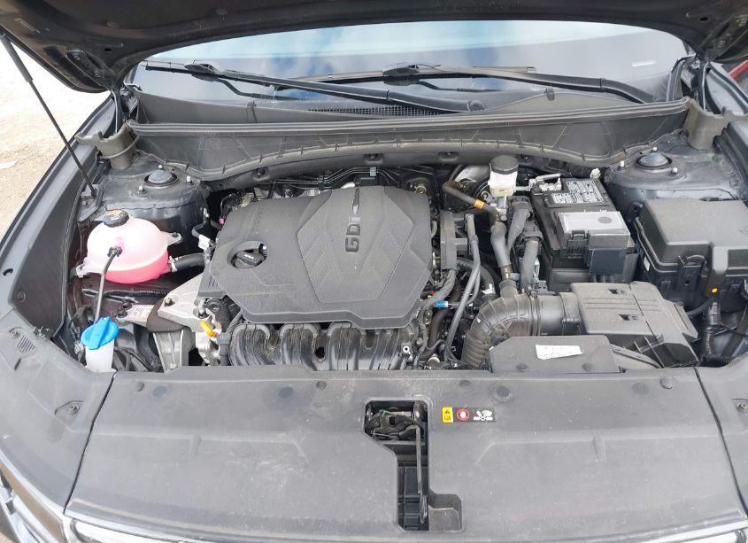 Photo 10 of 2024 Hyundai Tucson LIMITED (VIN 5NMJE3DE2RH323220)