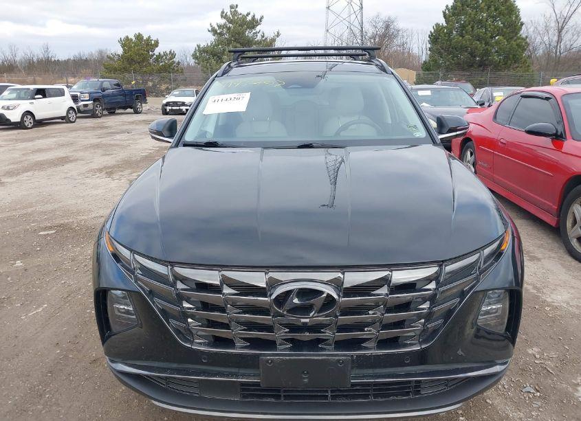 Photo 12 of 2024 Hyundai Tucson LIMITED (VIN 5NMJE3DE2RH323220)