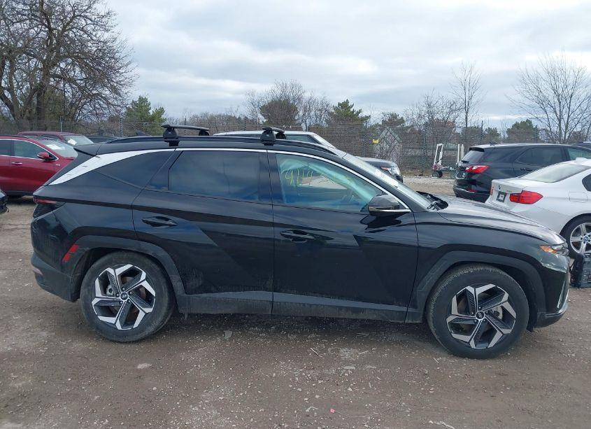 Photo 13 of 2024 Hyundai Tucson LIMITED (VIN 5NMJE3DE2RH323220)