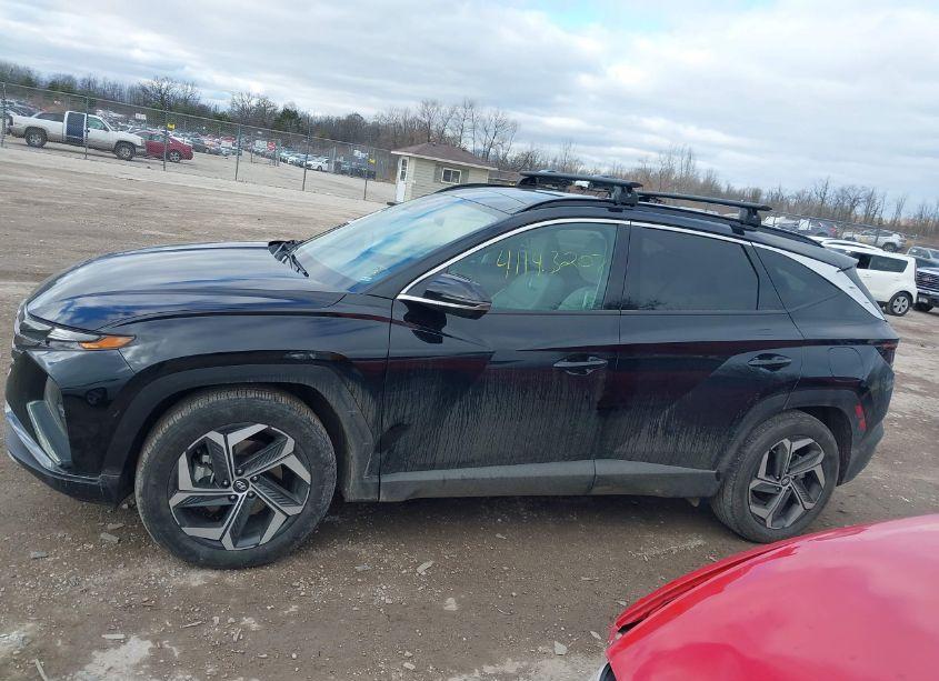 Photo 14 of 2024 Hyundai Tucson LIMITED (VIN 5NMJE3DE2RH323220)