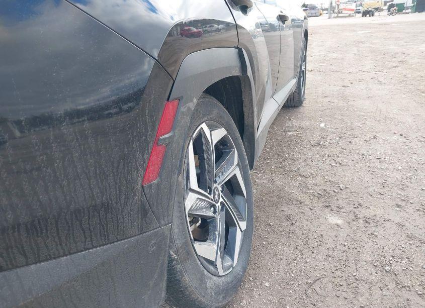 Photo 17 of 2024 Hyundai Tucson LIMITED (VIN 5NMJE3DE2RH323220)