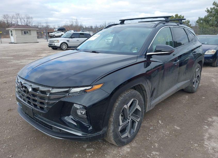 Photo 2 of 2024 Hyundai Tucson LIMITED (VIN 5NMJE3DE2RH323220)