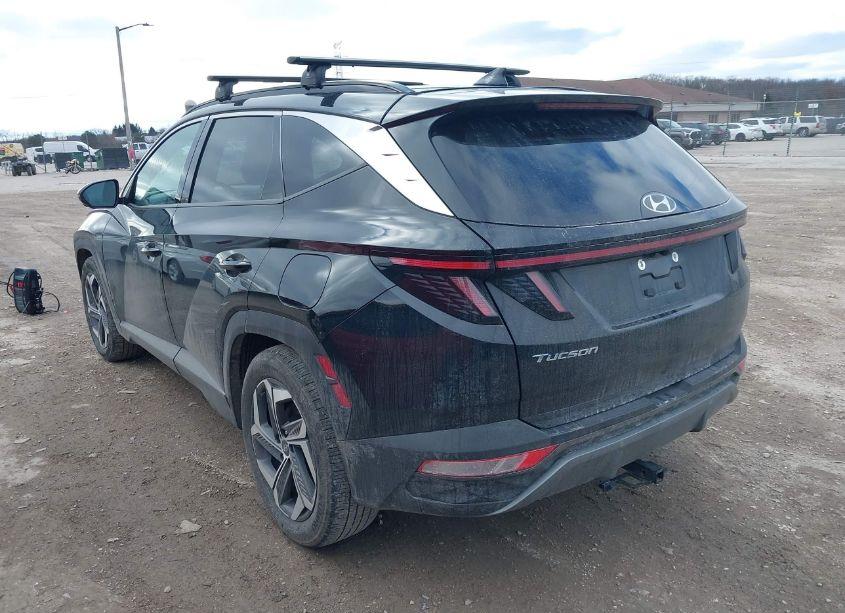 Photo 3 of 2024 Hyundai Tucson LIMITED (VIN 5NMJE3DE2RH323220)