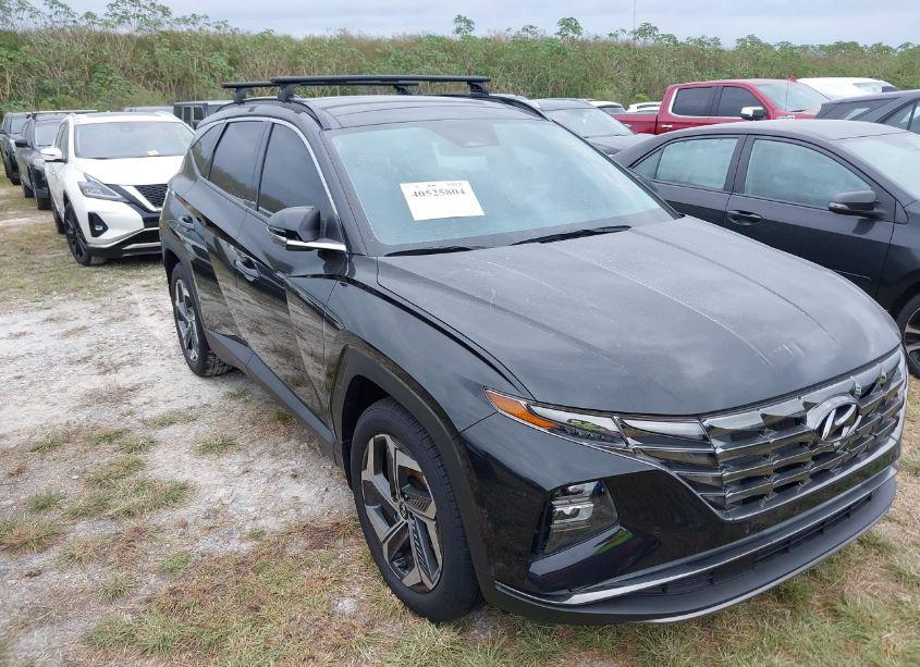 2024 Hyundai Tucson LIMITED (VIN 5NMJE3DE2RH343810) main photo