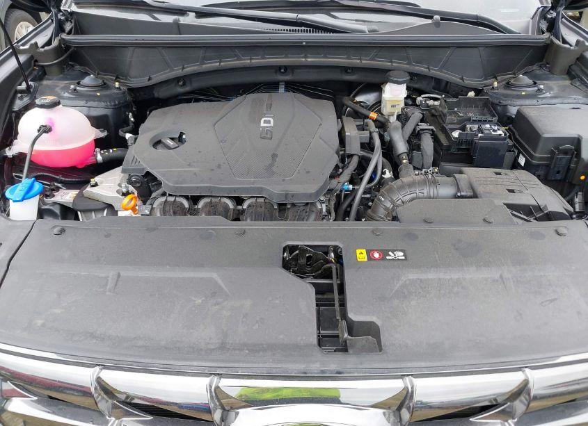 Photo 10 of 2024 Hyundai Tucson LIMITED (VIN 5NMJE3DE2RH343810)