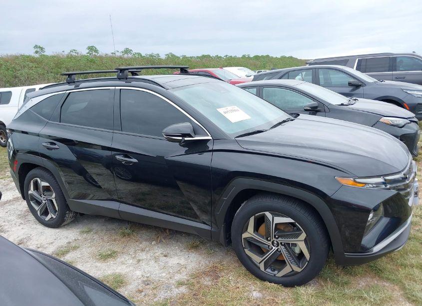 Photo 13 of 2024 Hyundai Tucson LIMITED (VIN 5NMJE3DE2RH343810)