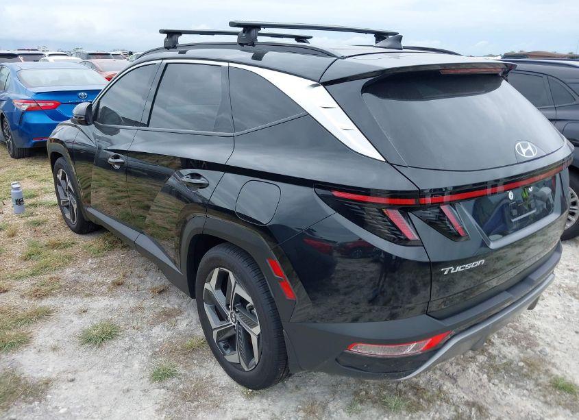 Photo 14 of 2024 Hyundai Tucson LIMITED (VIN 5NMJE3DE2RH343810)