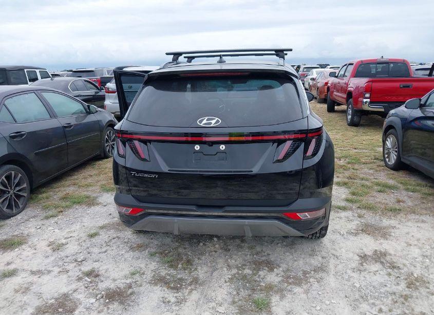 Photo 16 of 2024 Hyundai Tucson LIMITED (VIN 5NMJE3DE2RH343810)