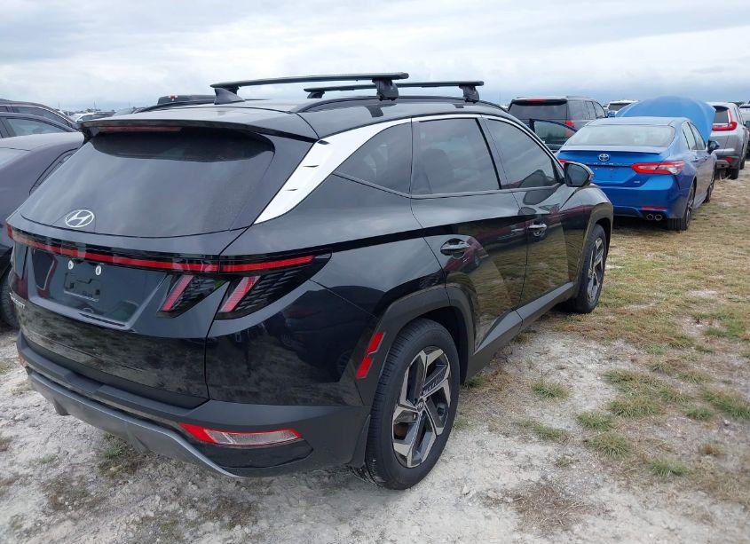 Photo 4 of 2024 Hyundai Tucson LIMITED (VIN 5NMJE3DE2RH343810)
