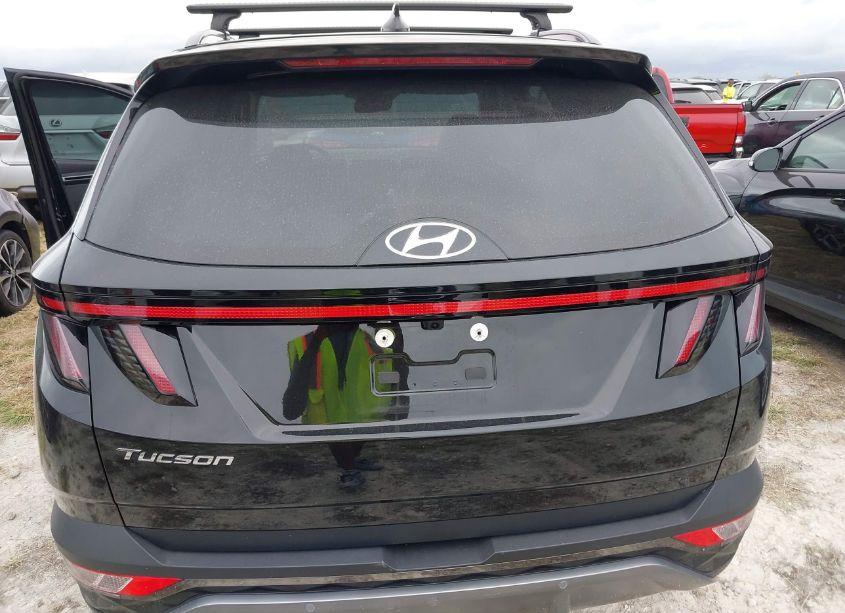 Photo 6 of 2024 Hyundai Tucson LIMITED (VIN 5NMJE3DE2RH343810)