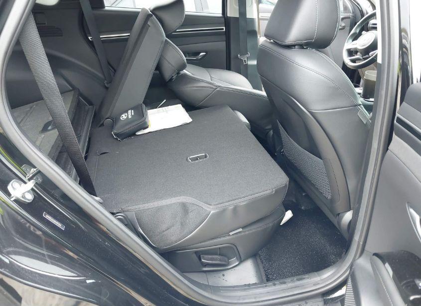 Photo 8 of 2024 Hyundai Tucson LIMITED (VIN 5NMJE3DE2RH343810)