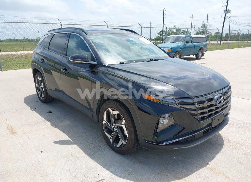 2024 Hyundai Tucson LIMITED (VIN 5NMJE3DE2RH351390) main photo